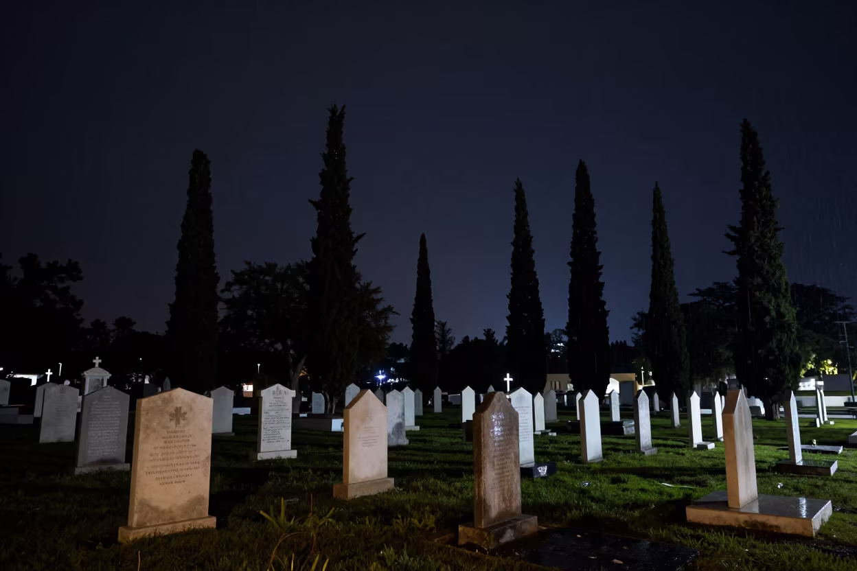 Moonlit White Stones and Cypress Shadows in Puerto Cabello in beneath a dark-sky overlook near Puerto Cabello