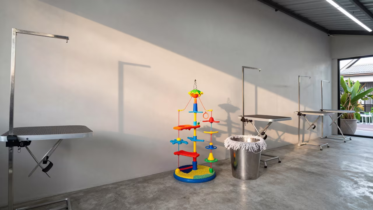 Morning Bird Toy Display Near Cleaning Bucket in Phuket Grooming Bay in inside a grooming bay in Phuket