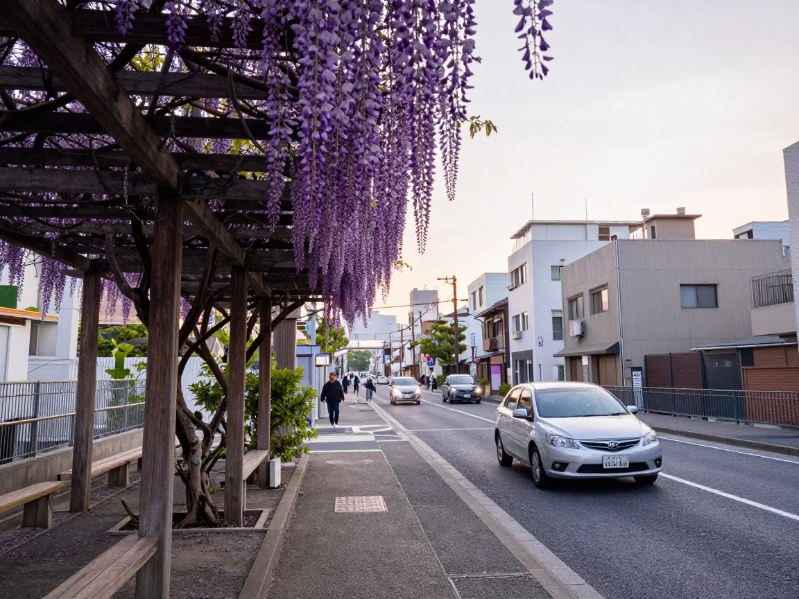 Morning Commute in Fukuoka Japan with Wisteria and Urban Life in in Fukuoka, Japan