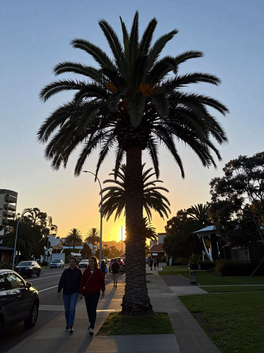 Morning Light in Adelaide at As First Light Reaches The Scene in in Adelaide, South Australia, Australia