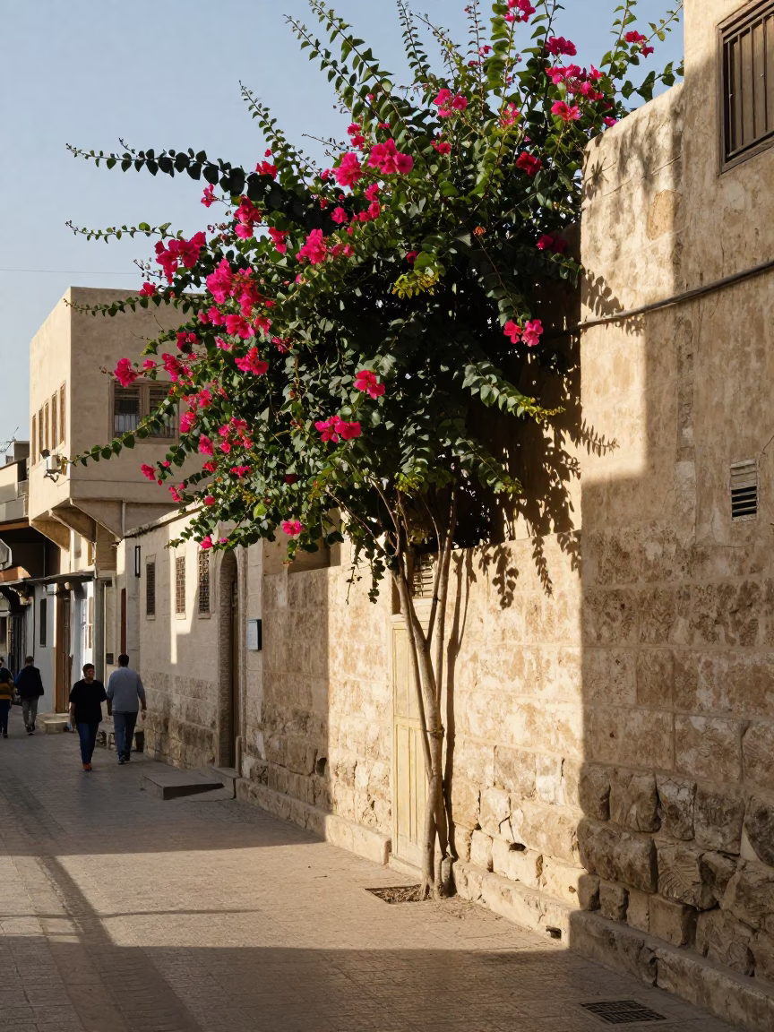 Morning Light in Alexandria at Bright Midmorning Light in in Alexandria, Egypt