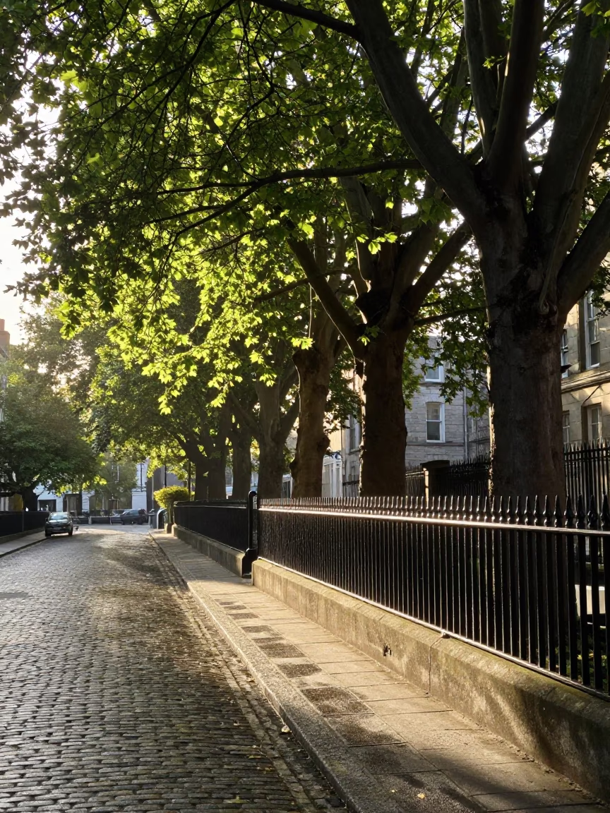 Morning Light in Dublin at The Late Morning Light in in Dublin, Ireland