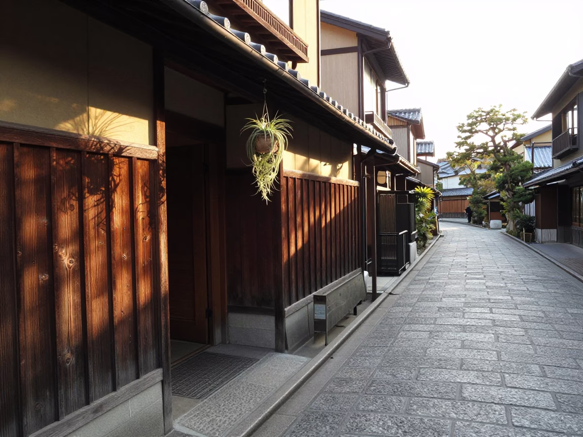 Morning light in Kyoto Japan street with air plant and steel bench in in Kyoto, Japan
