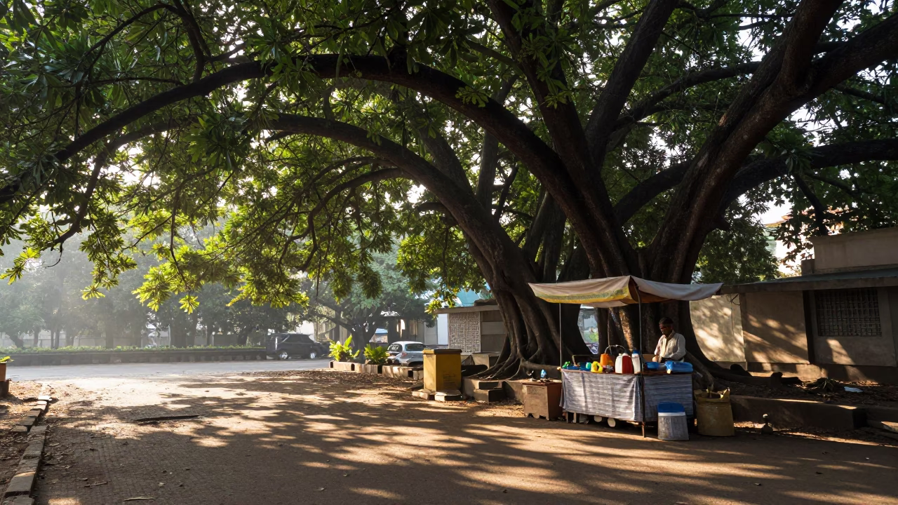 Morning Light in Mumbai at The Late Morning Light in in Mumbai, India