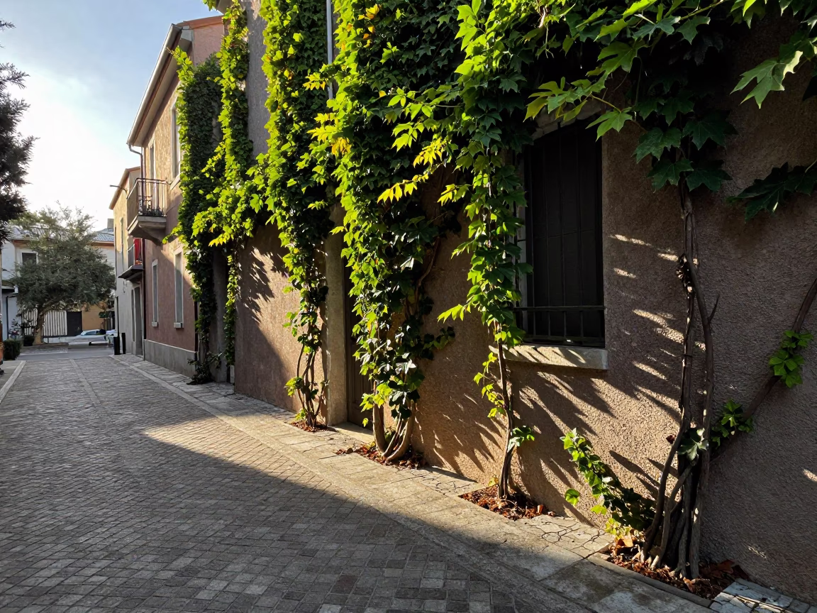 Morning Light in Naples Italy Ivy Vines and Street Life in in Naples, Italy