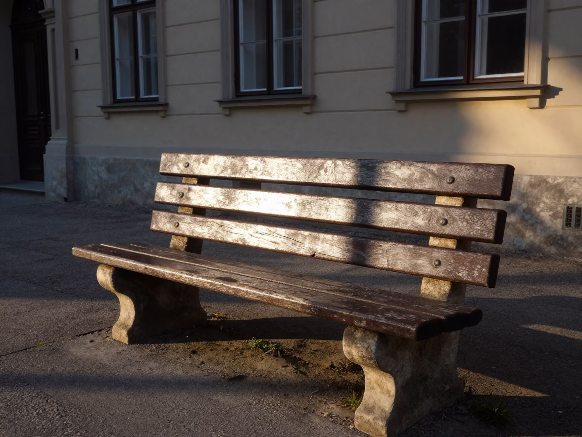 Morning Light in Vienna at The Late Morning Light in in Vienna, Austria