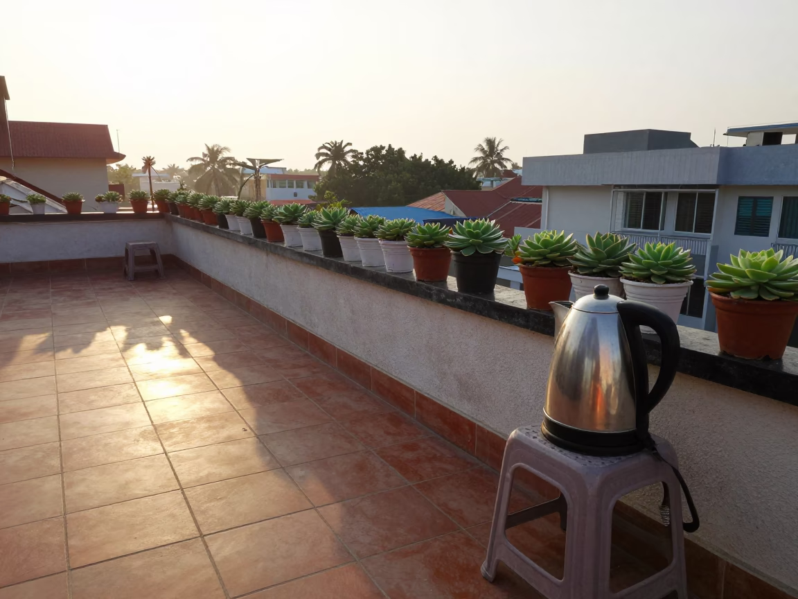 Morning Light just after sunrise in Chennai in in Chennai, India