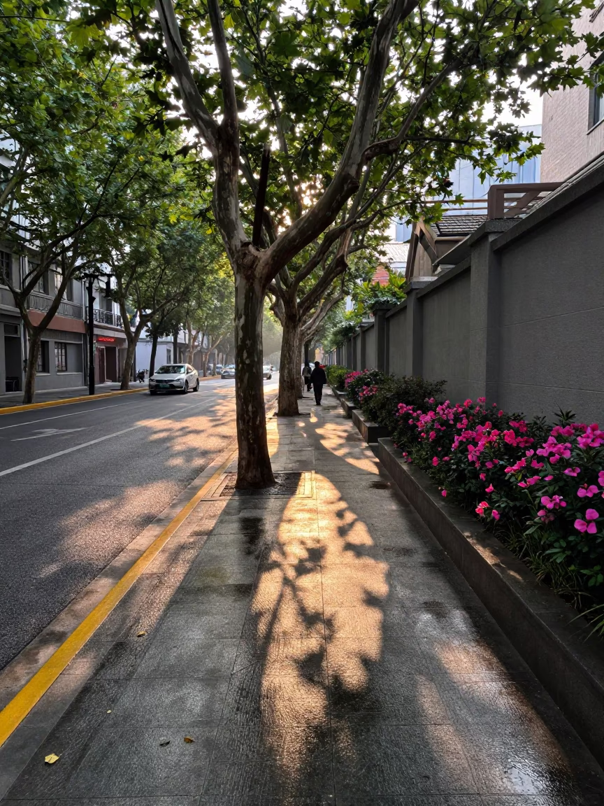 Morning Light just after sunrise in Shanghai in in Shanghai, China
