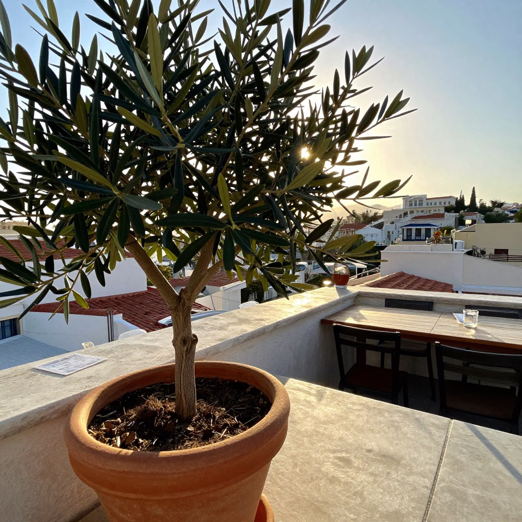 Morning Light on Athens Rooftop Terrace with Local Dining and Urban Views in in Athens, Greece