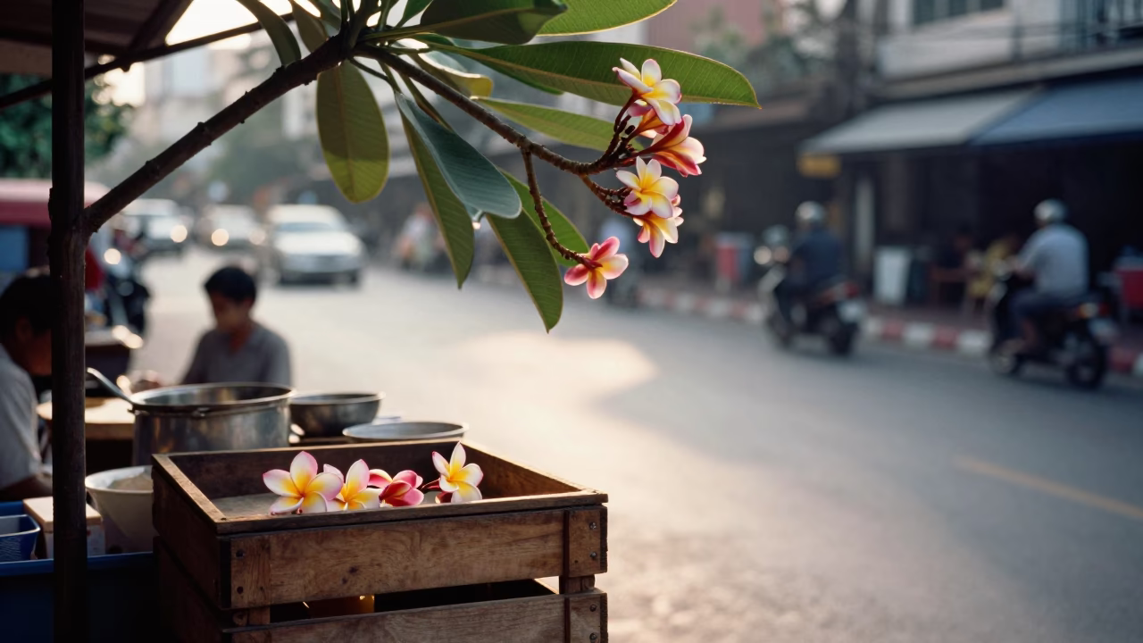 Morning Light on Bangkok Street Corner with Frangipani Branch and Local Vendor in in Bangkok, Thailand