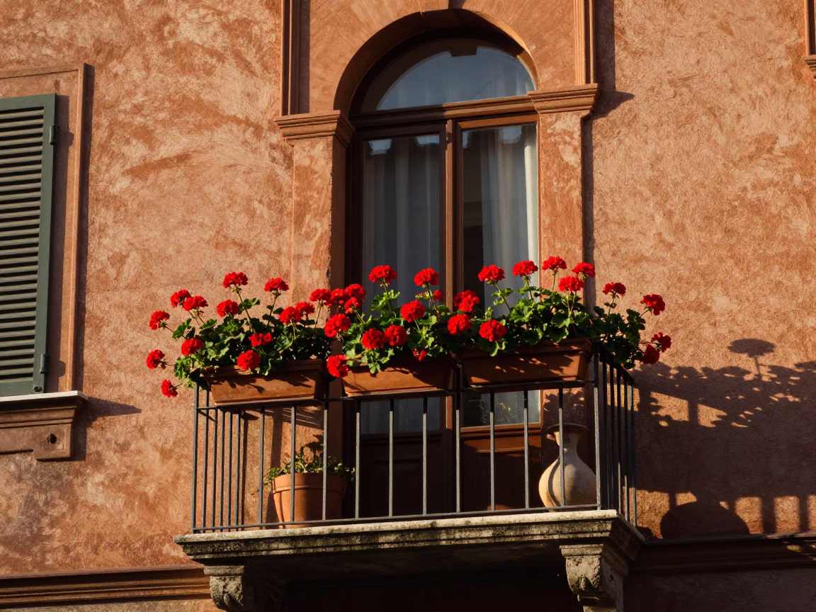 Morning Light on Bologna Balcony with Geraniums and Vase in 1970s Italy in in Bologna, Italy