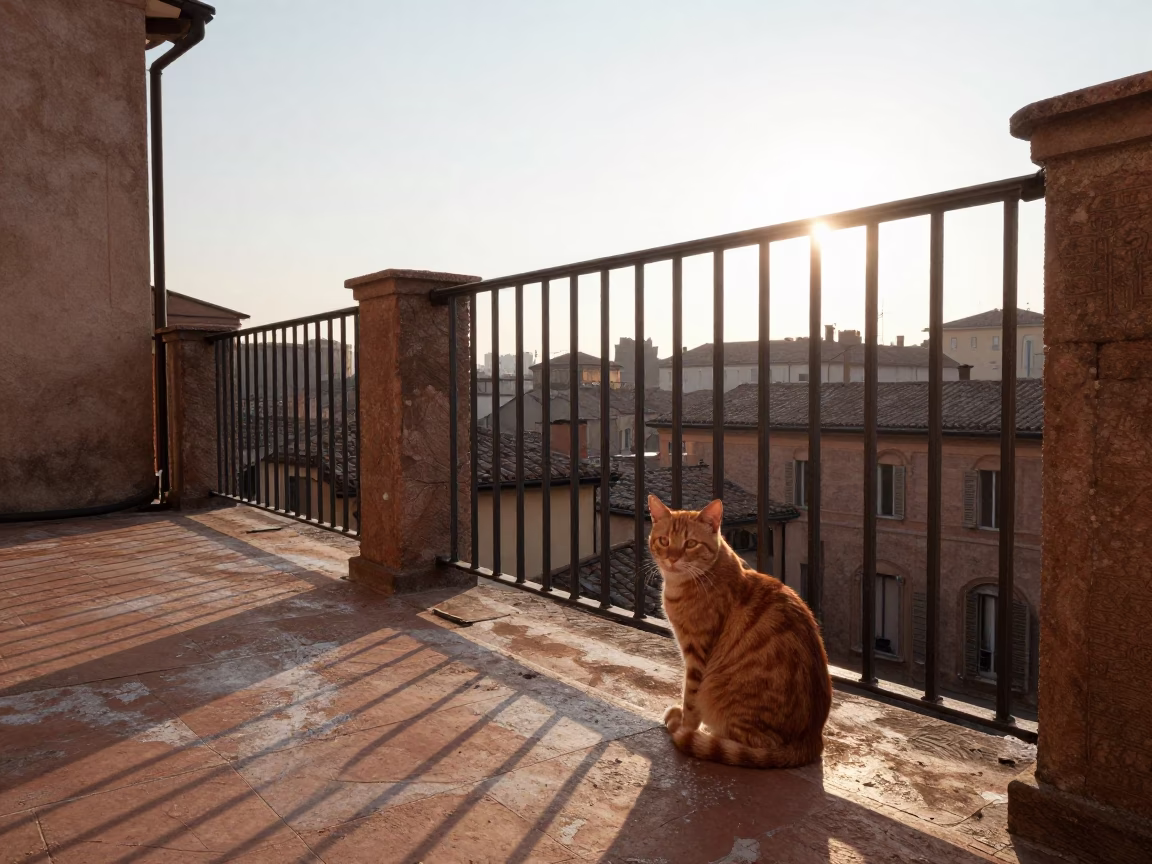 Morning light on Bologna balcony with ginger cat and bougainvillea in in Bologna, Italy