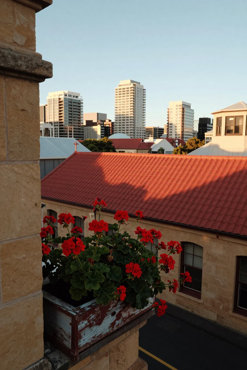 Morning Light on Hobart Rooftops with Geraniums and Vintage Details in in Hobart, Tasmania, Australia