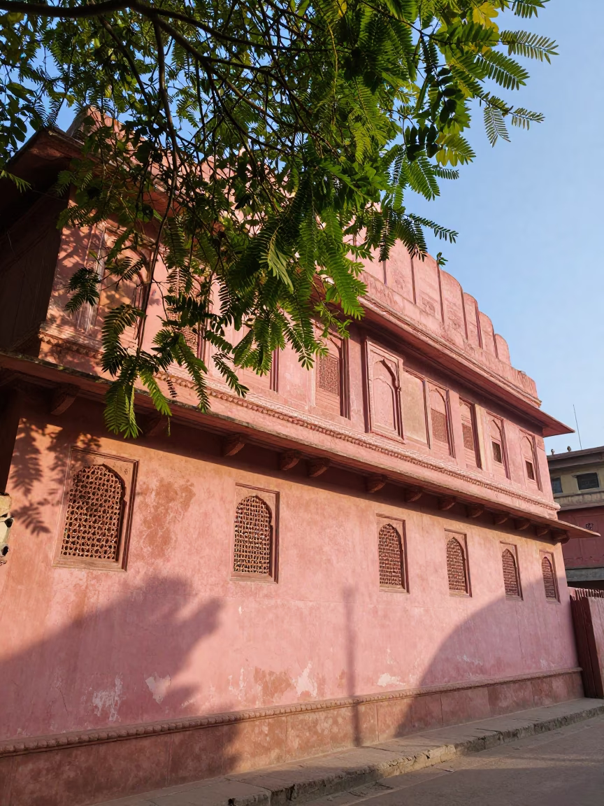 Morning Light on Jaipur Pink City Streets with Leaf Shadows and Traditional Architecture in in Jaipur, India