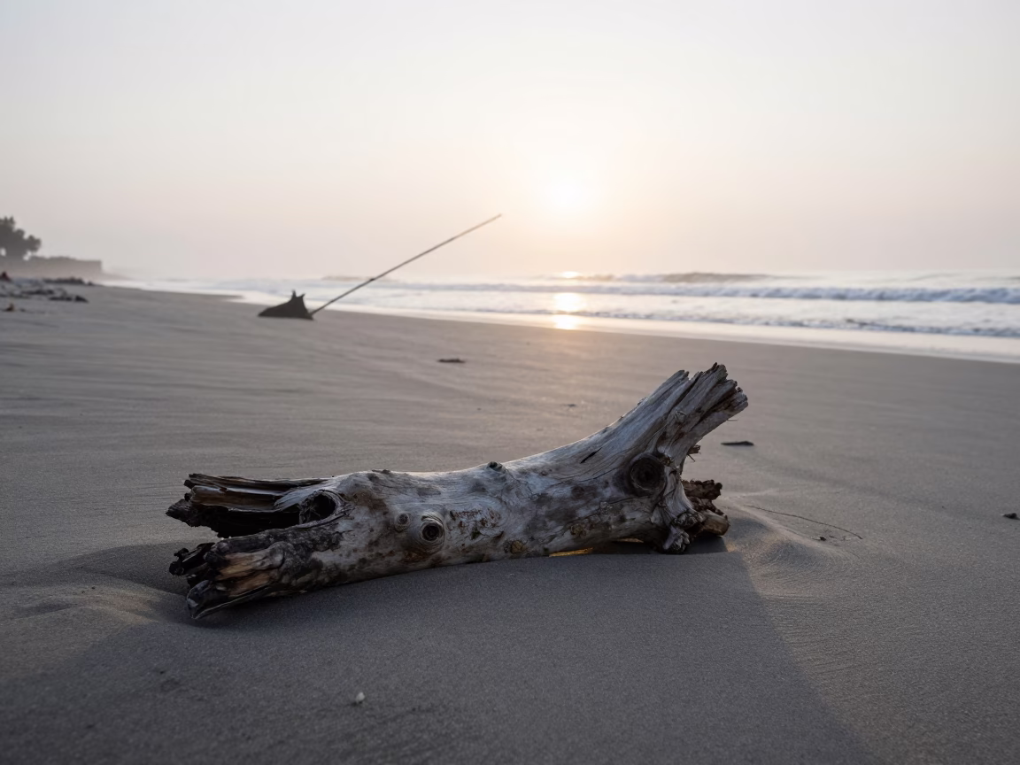 Morning Light on Lima Beach with Driftwood and Fishing Gear in in Lima, Peru