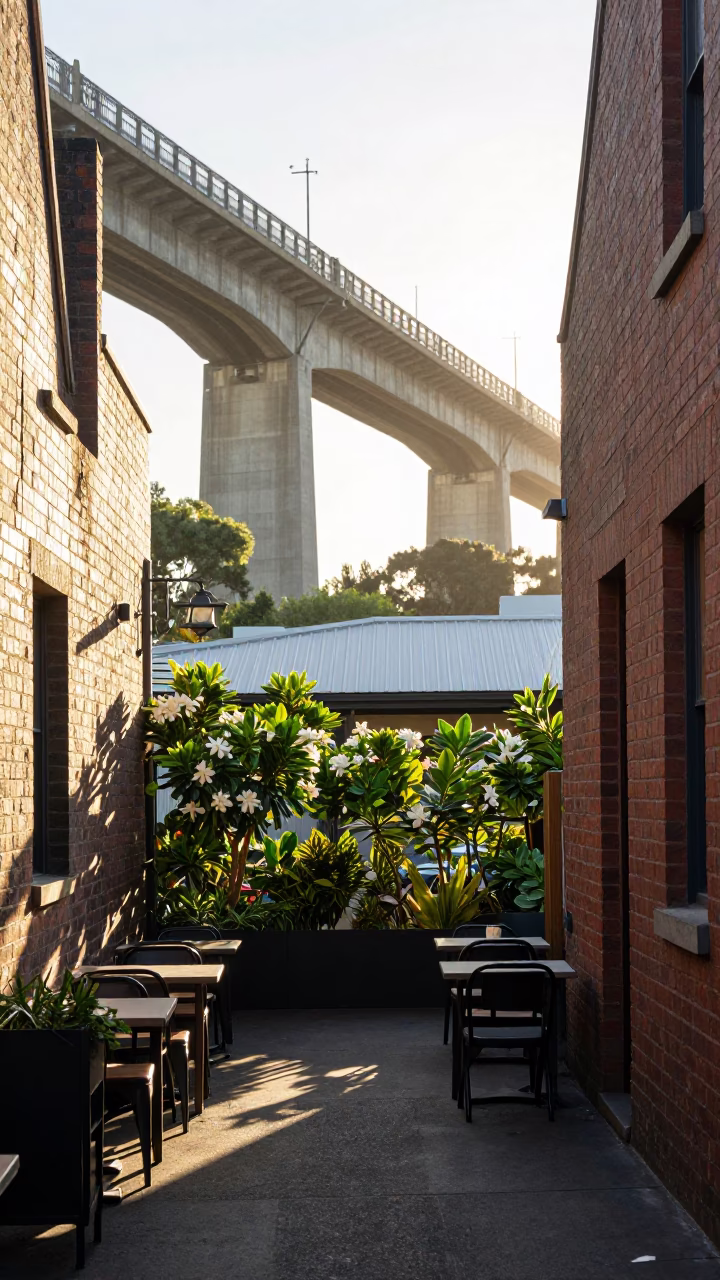Morning light on Melbourne laneway cafe terrace with gardenia bush and breakfast table in in Melbourne, Victoria, Australia