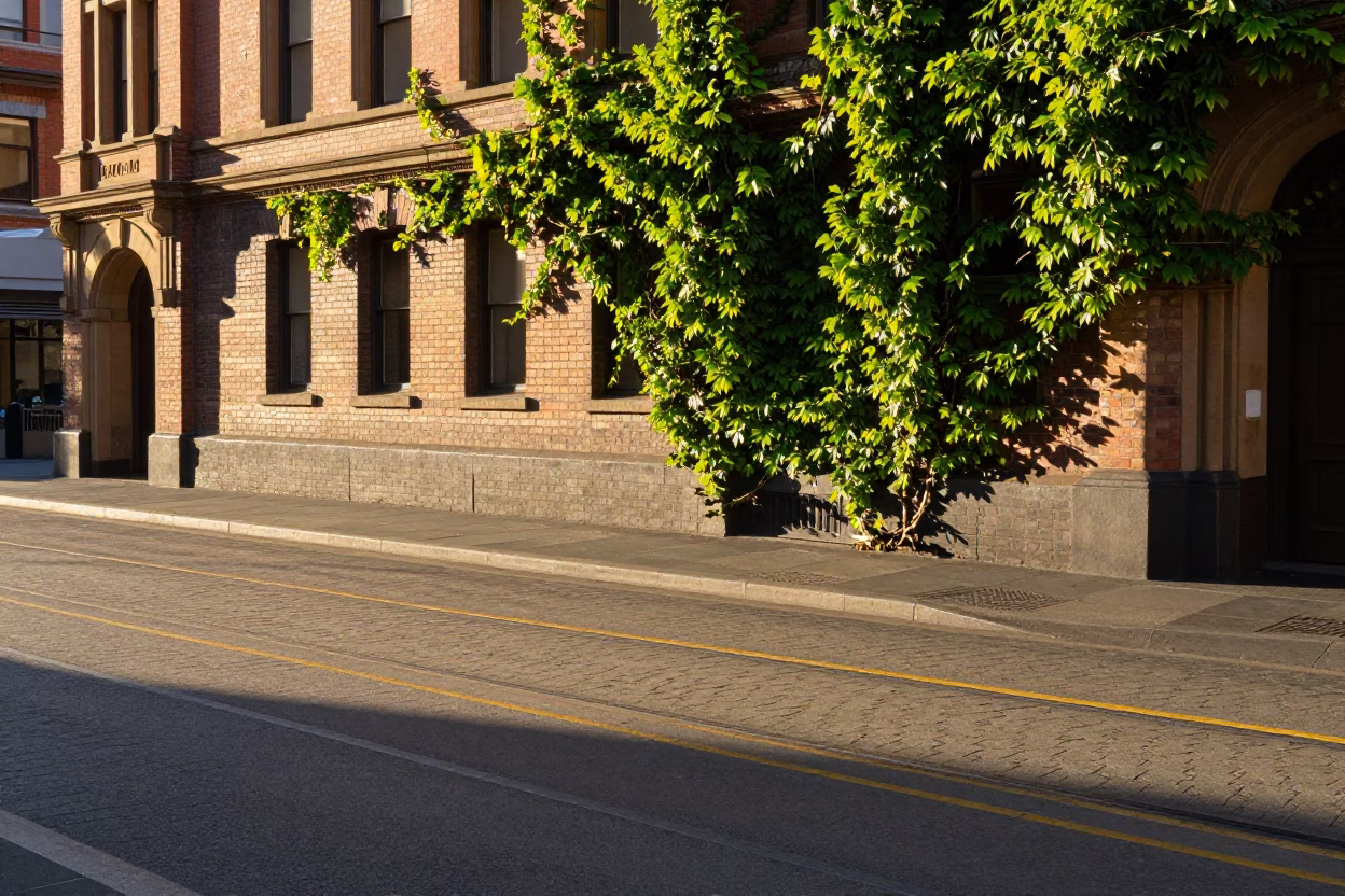 Morning Light on Melbourne Tram Tracks with Ivy and Bridge Pier Reflections in in Melbourne, Victoria, Australia