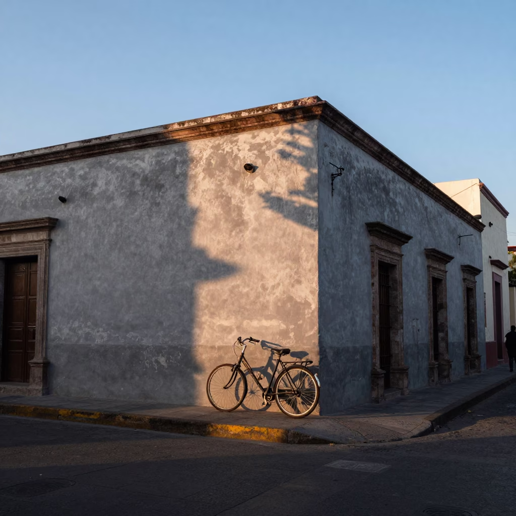 Morning Light on Mexico City Street with Bicycle and Echeveria Dew Drops at Dawn in in Mexico City, Mexico
