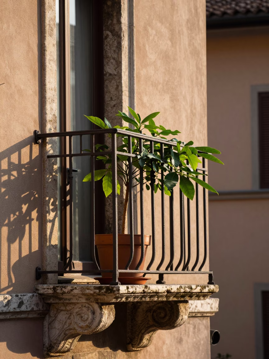 Morning Light on Milanese Balcony with Houseplant and Saucepan in in Milan, Italy