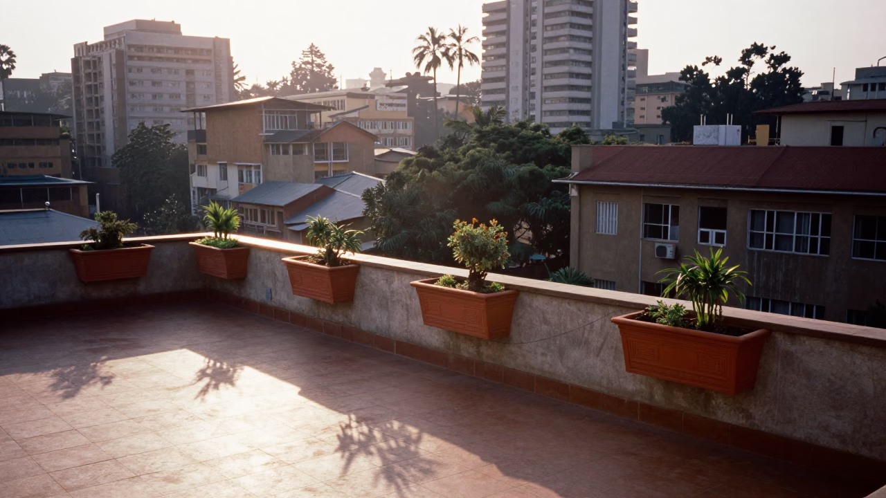Morning Light on Nairobi Rooftops with Window Boxes and Dandelion Seeds in in Nairobi, Kenya