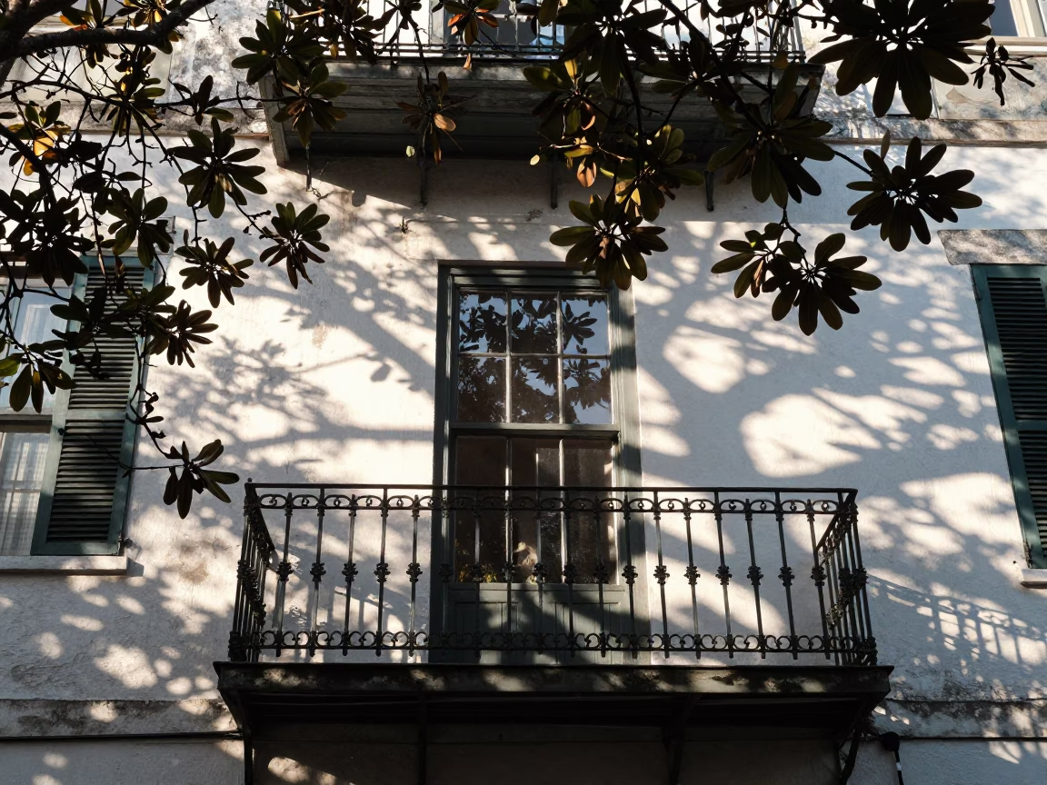 Morning Light on New Orleans Balcony with Ironwork and Dappled Shadows in in New Orleans, Louisiana, United States