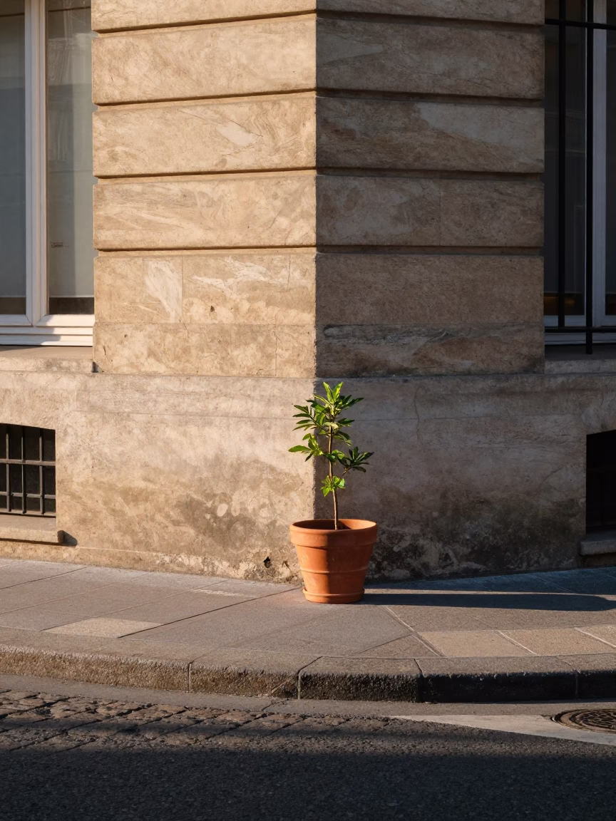 Morning Light on Parisian Street Corner with Terracotta Pot and Plate in in Paris, France