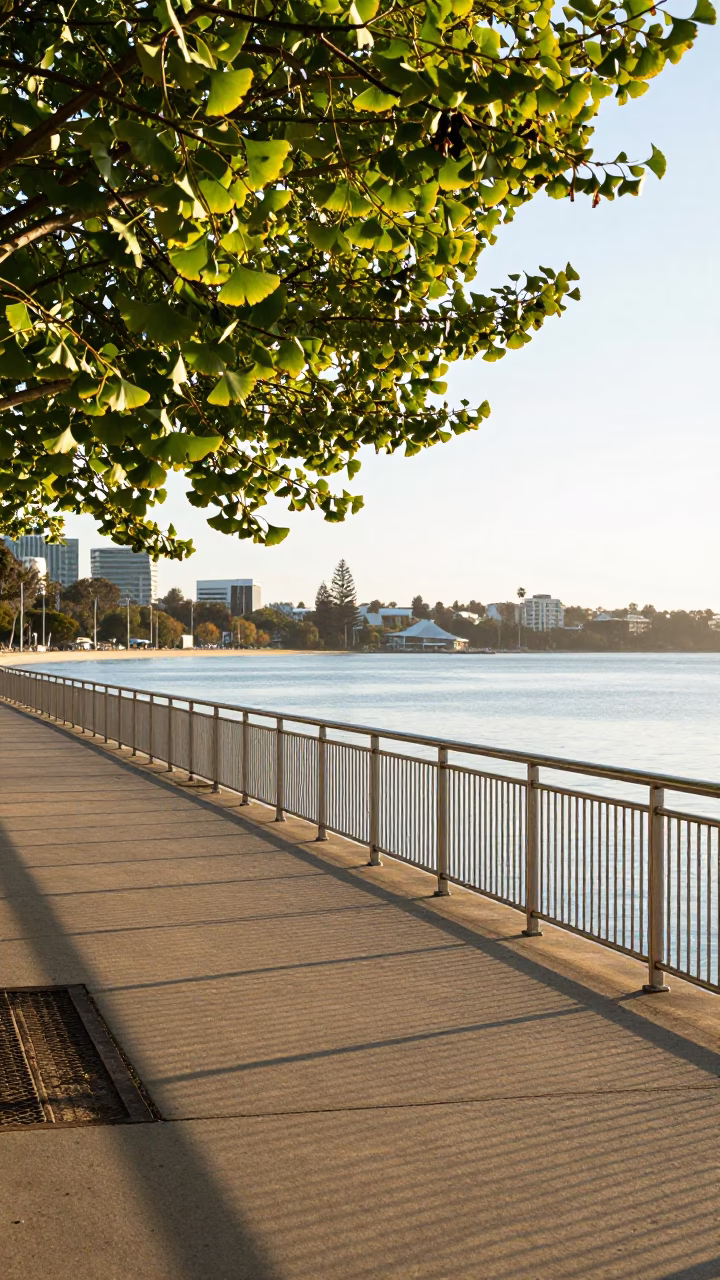 Morning Light on Perth Waterfront Promenade with Ginkgo Leaves and Steel Railing Details in in Perth, Western Australia, Australia