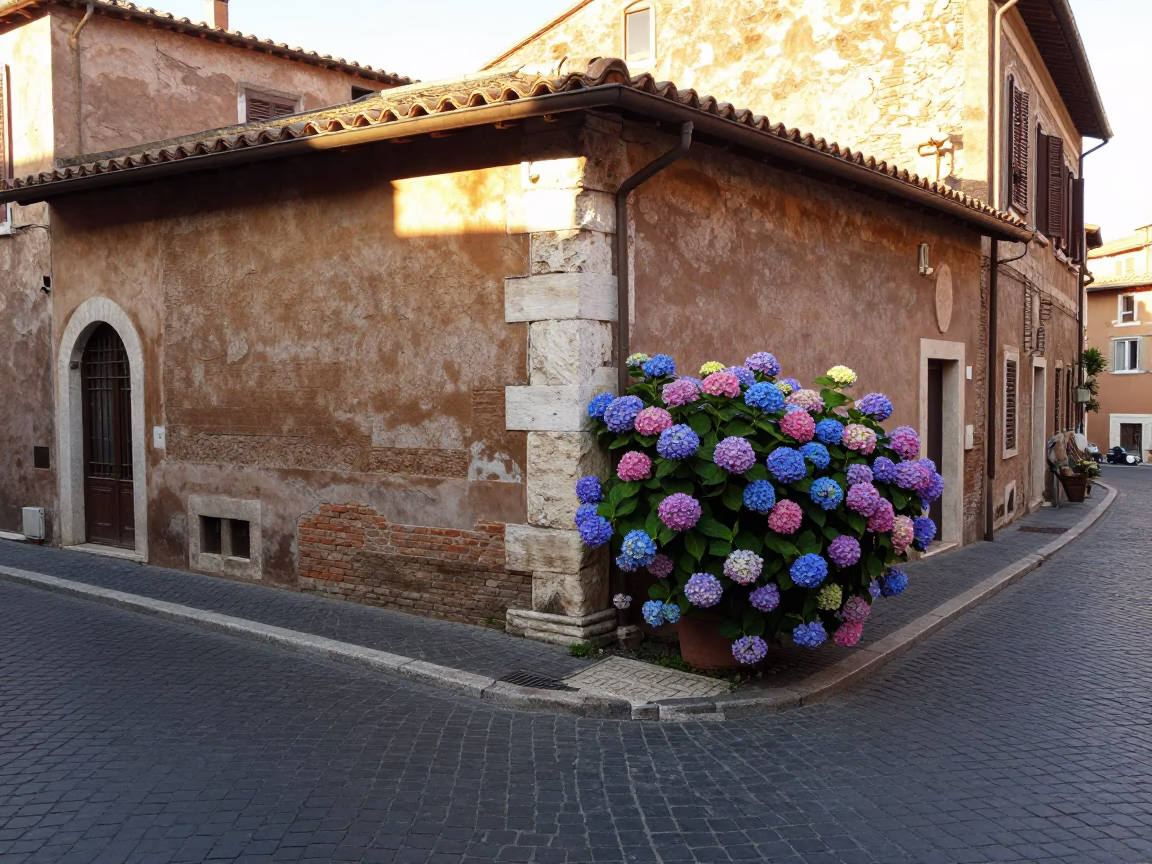 Morning Light on Roman Cobblestones with Hydrangeas and Vintage Scooter in in Rome, Italy