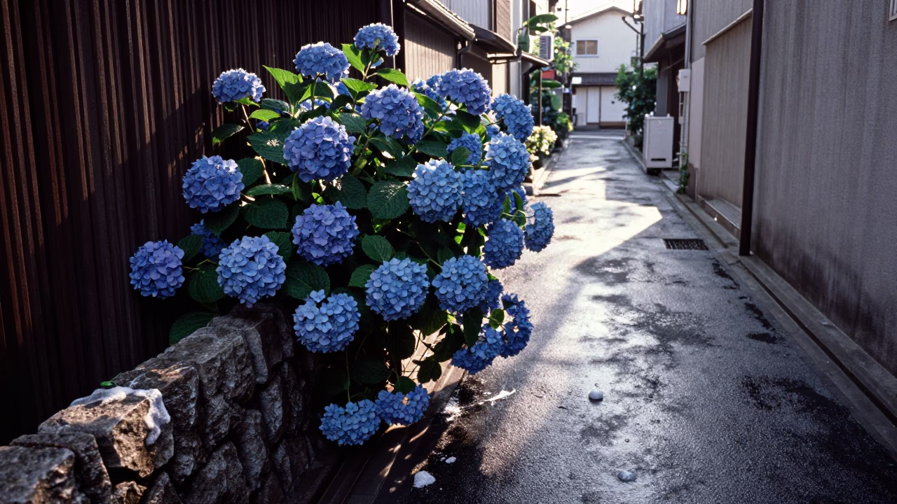 Morning light reveals soap residue and hydrangeas on Osaka Japan street corner in in Osaka, Japan