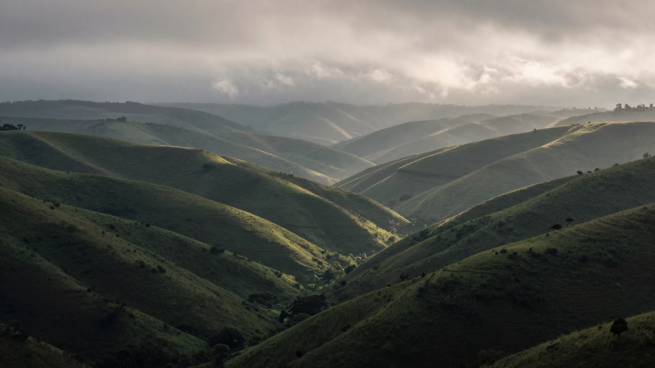 Morning Mist Drumlins Near Bujumbura Valley in across a wide valley floor near Bujumbura