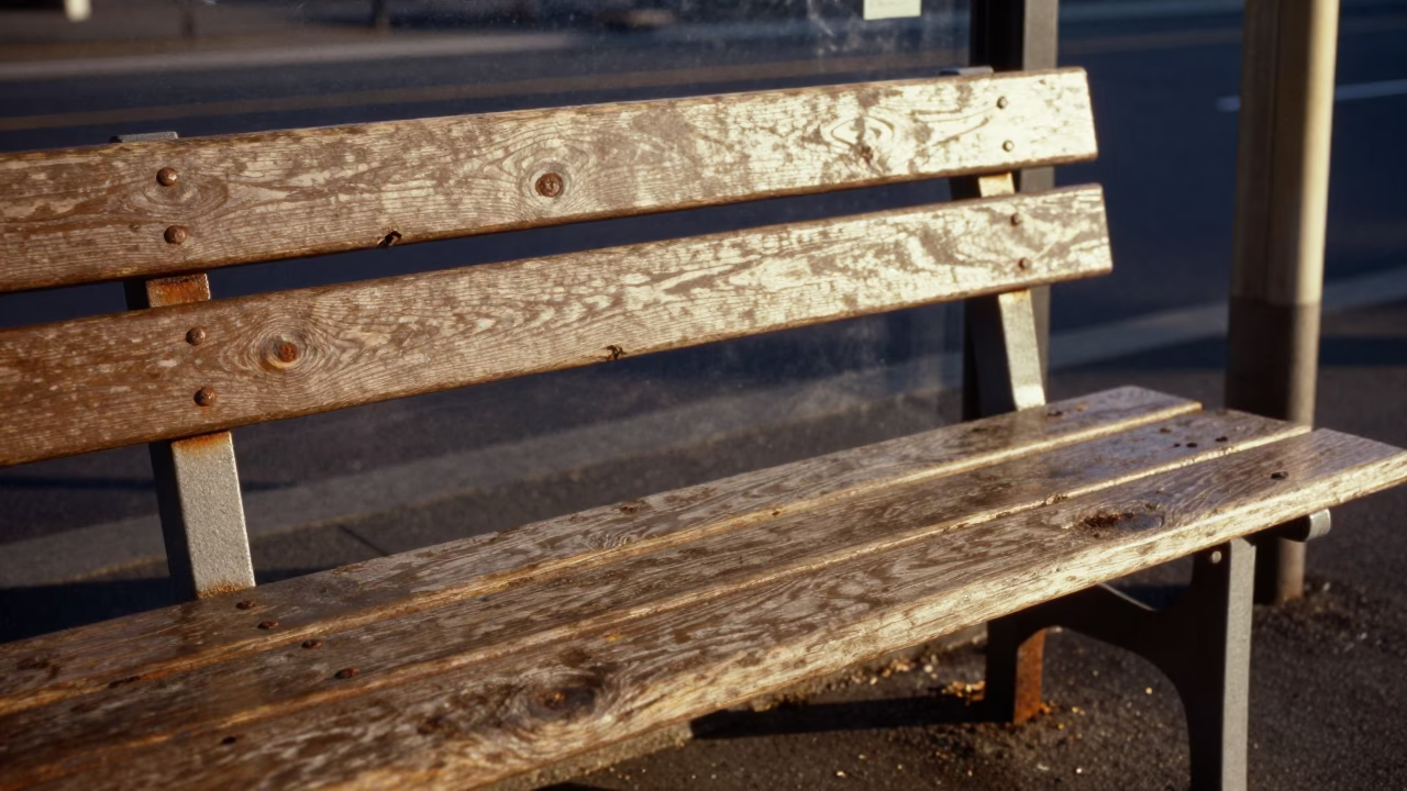 Morning Scene in Melbourne at The Late Morning Light in in Melbourne, Victoria, Australia