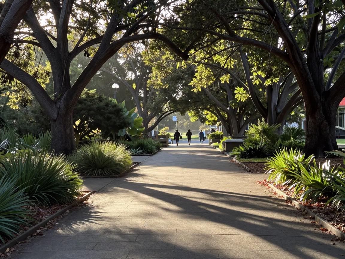 Morning Sunlight in Adelaide at The Late Morning Light in in Adelaide, South Australia, Australia