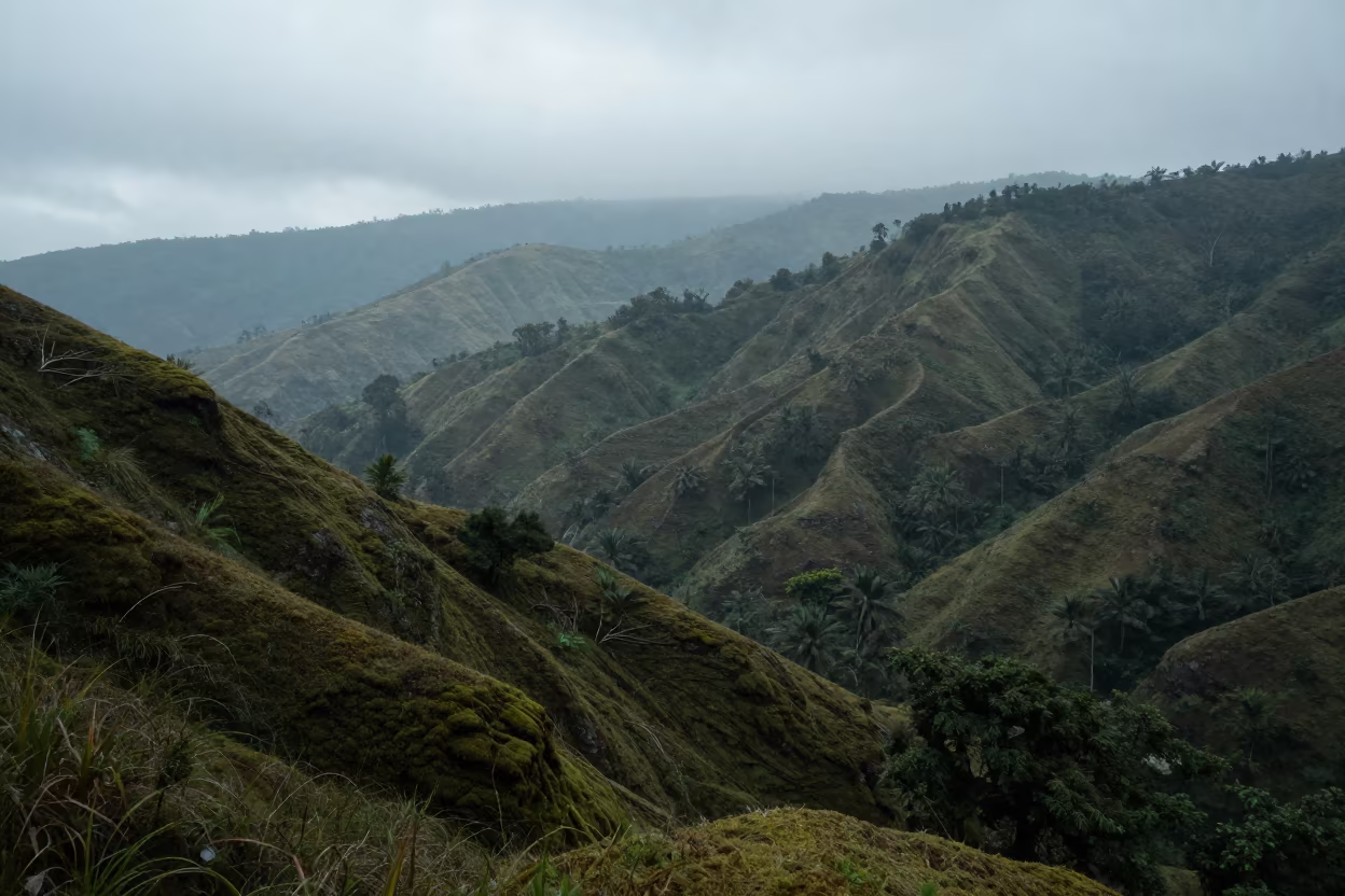 Moss Covered Ridge Over Kerala Monsoon Foothills in from a ridge above layered foothills in Kerala
