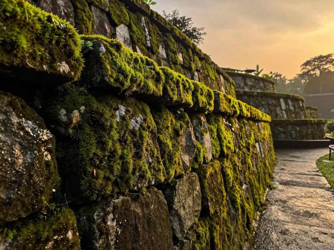 Moss Covered Stone Wall Singapore Evening in among terraced garden plots near Joo Chiat, Singapore