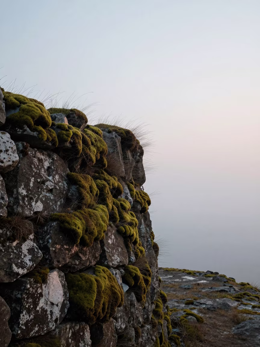 Moss on Stone Wall at Myanmar Cliff Dawn in along a salt-sprayed cliff edge in Myanmar
