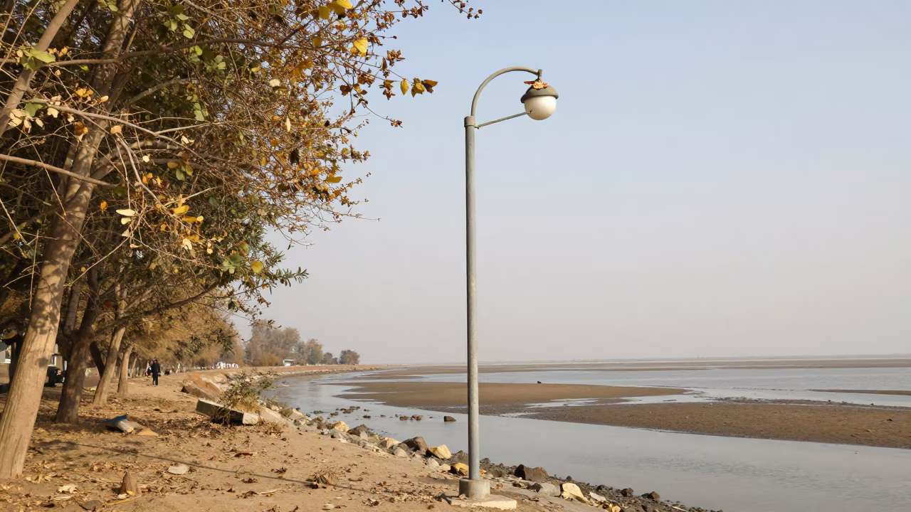 Moth Resting Near Lamp at Chakwal Tidal Inlet in beside a tidal inlet near Chakwal