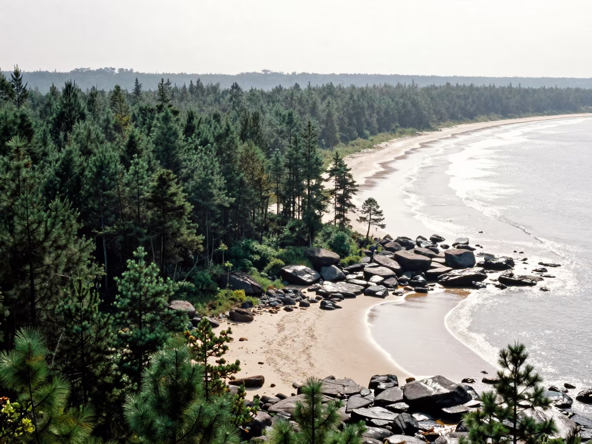 Mozambique Shoreline Boreal Taiga Monsoon Landscape in along a wave-cut shoreline in Mozambique