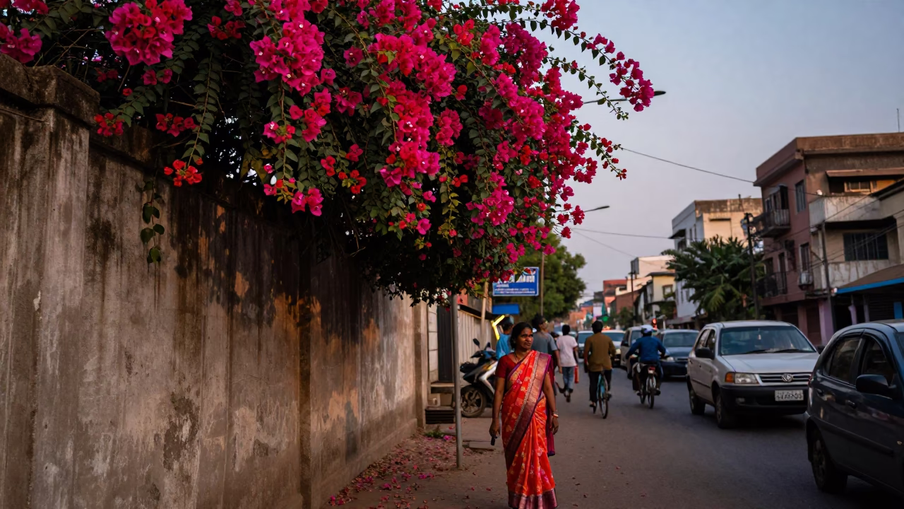 Mumbai Evening Street Scene with Bougainvillea and Local Commerce in in Mumbai, India