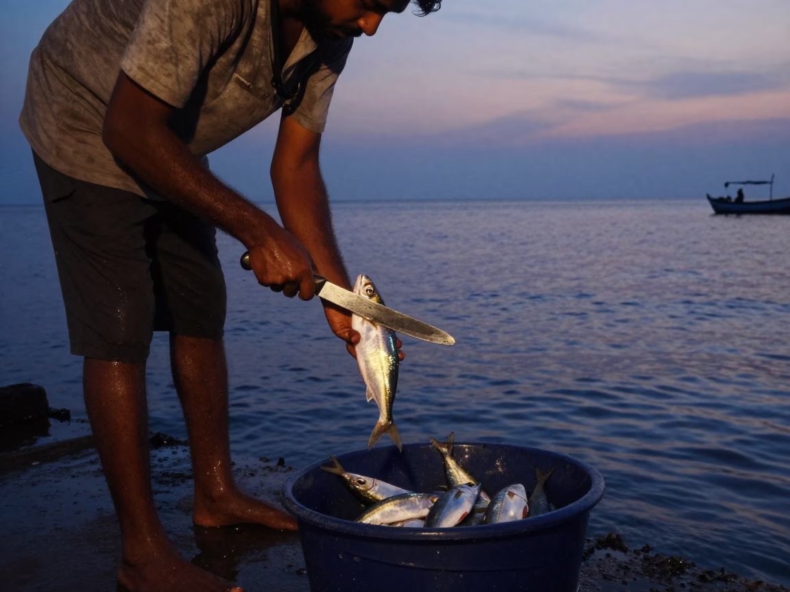 Mumbai Harbor at Nautical Dawn with Fisherman Cleaning Catch on Dock in in Mumbai, India