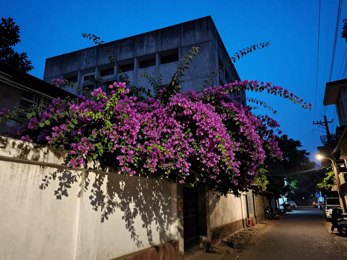 Mumbai street scene at blue hour with bougainvillea and concrete buildings in in Mumbai, India