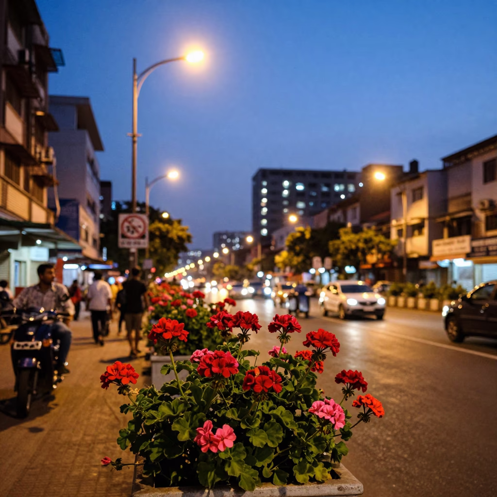 Mumbai Street Scene at Dusk with Vibrant Geraniums and Traditional Architecture in in Mumbai, India