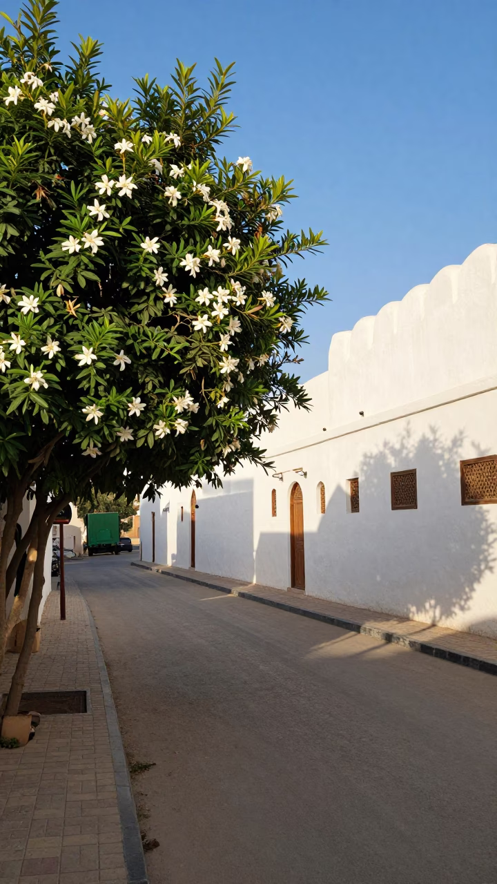 Muscat Oman Early Afternoon Street Scene with Gardenia Bush and Blue White Porcelain Jar in in Muscat, Oman