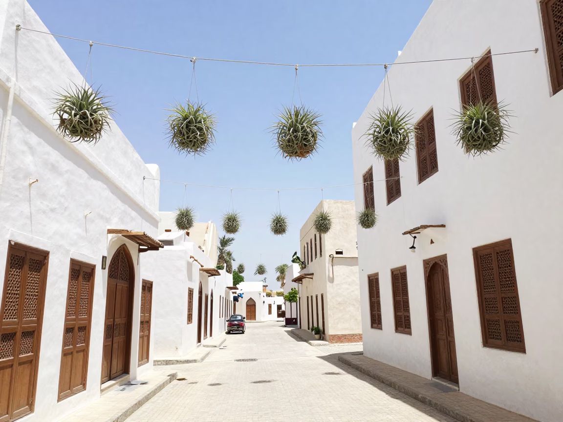 Muscat Oman Midday Street Scene with Hanging Air Plants and Traditional Architecture in in Muscat, Oman