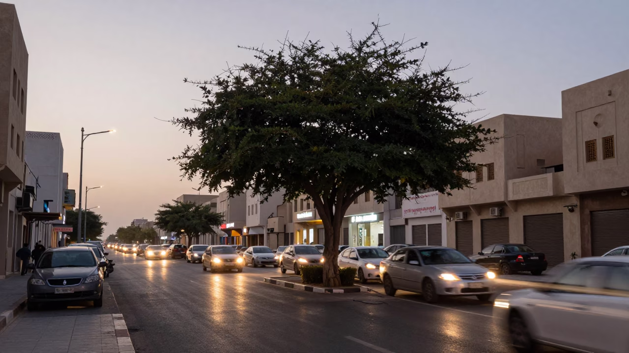 Muscat Oman Pre-Dawn Street Scene With Car Headlights Long Exposure And Tree Shadows in in Muscat, Oman