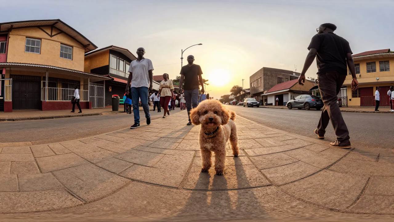 Nairobi Kenya Honeyed Evening Light Street Scene with Toy Poodle and Local Market Activity in in Nairobi, Kenya