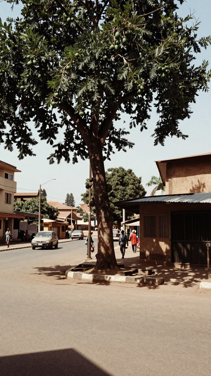 Nairobi Kenya Noon Street Scene with Avocado Tree and Steel Accents in in Nairobi, Kenya
