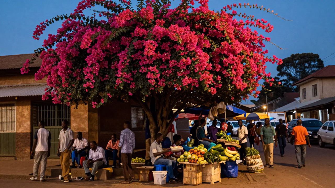 Nairobi Kenya Twilight Street Scene with Bougainvillea and Local Market Activity in in Nairobi, Kenya
