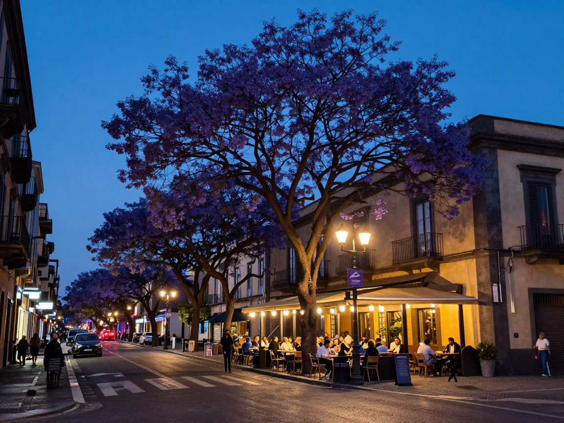 Naples Italy Blue Hour Street Scene with Jacaranda Tree and Local Life in in Naples, Italy