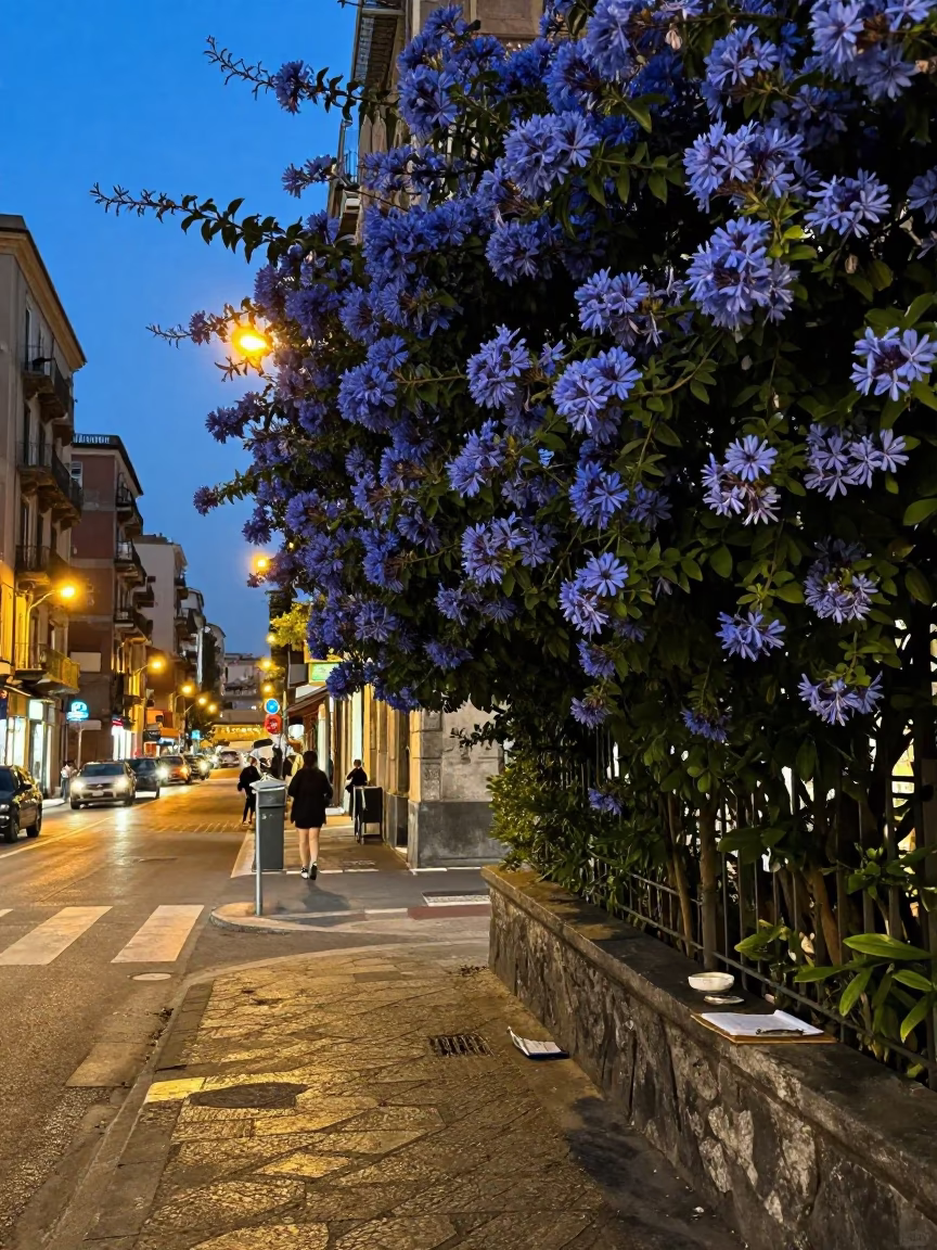 Naples Italy Evening Street Scene with Plumbago Hedge and Clipboard in in Naples, Italy
