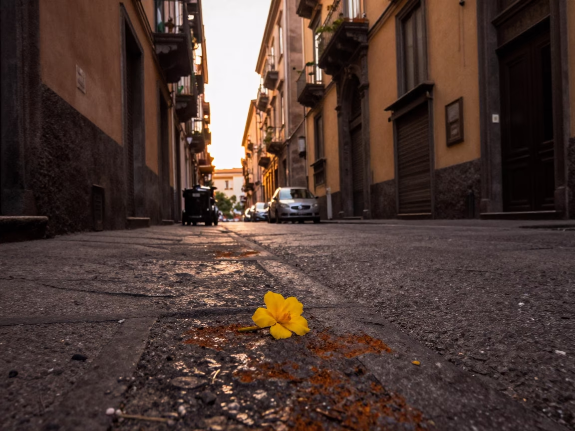 Naples Italy Evening Street Scene with Yellow Flower and Rusty Metal Hinge Detail in in Naples, Italy